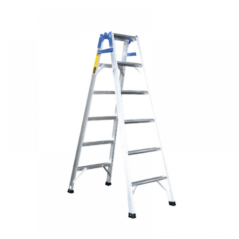 Dual-Purpose Ladder 