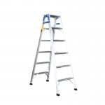 Dual-Purpose Ladder 