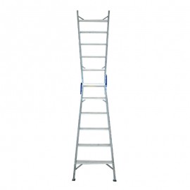 Dual-Purpose Ladder 