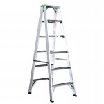 Double Sided Ladder